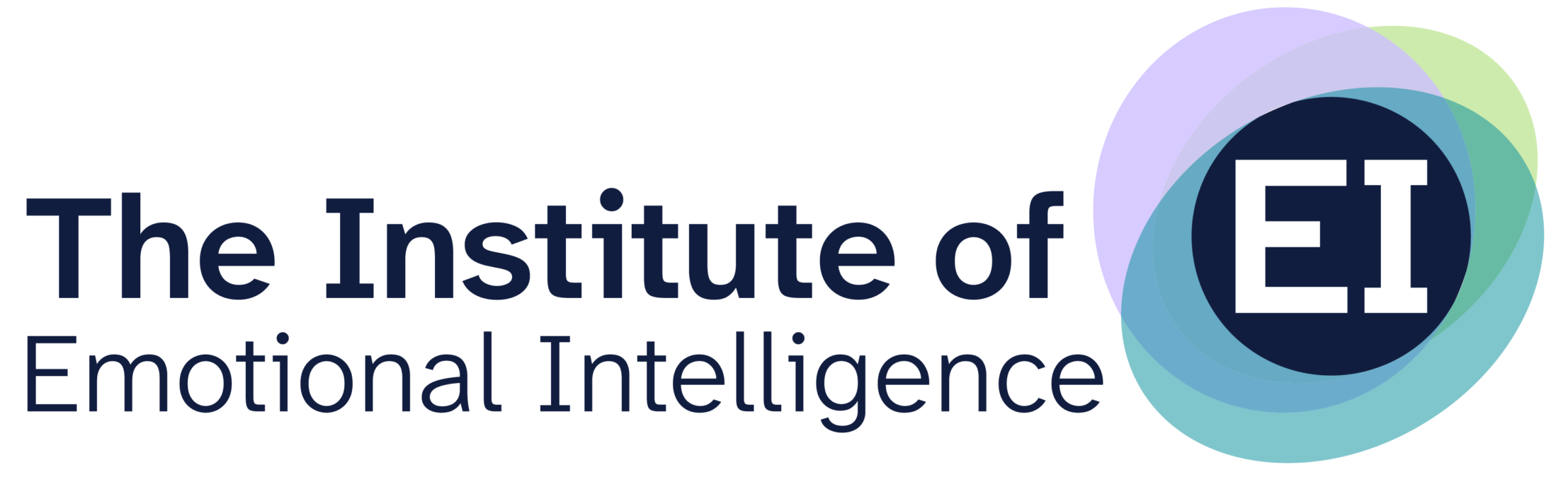 institute of ei logo digital master