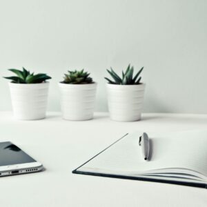landscape for flourishing